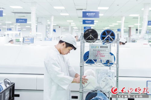 長沙大步邁向中國軟件名城 軟件和信息技術服務新篇章